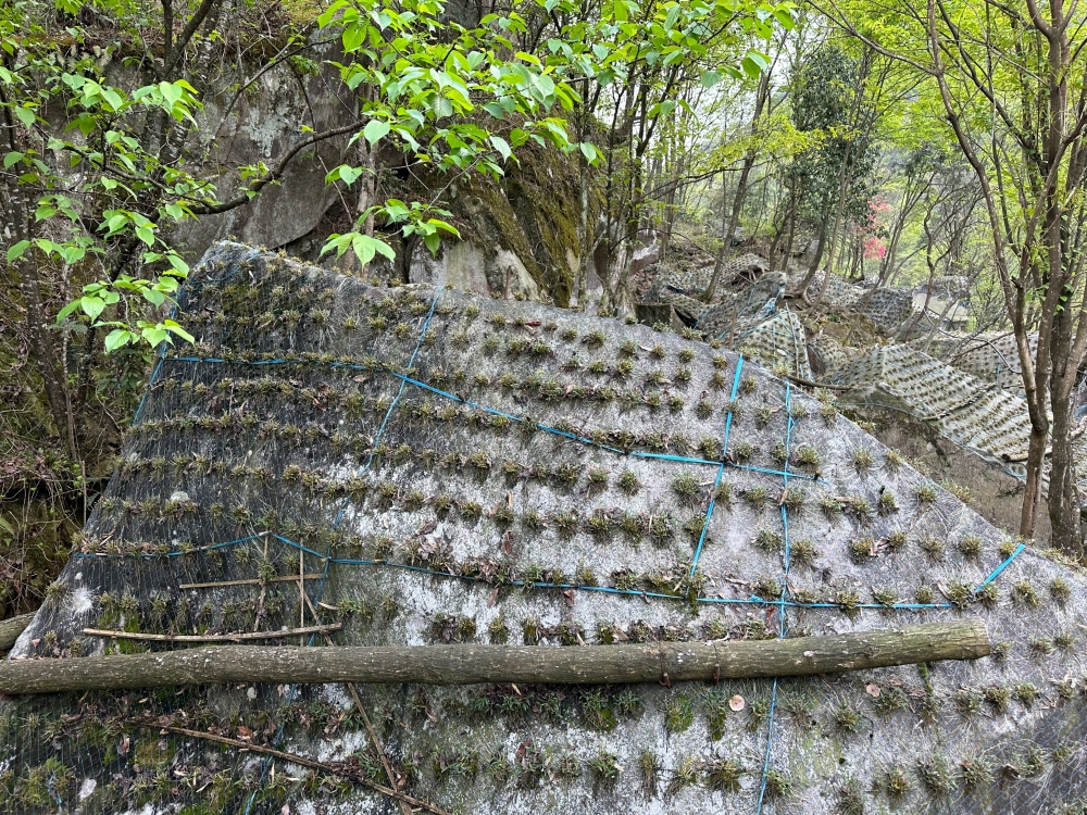 1744181872551019.jpg 压缩全景.jpg