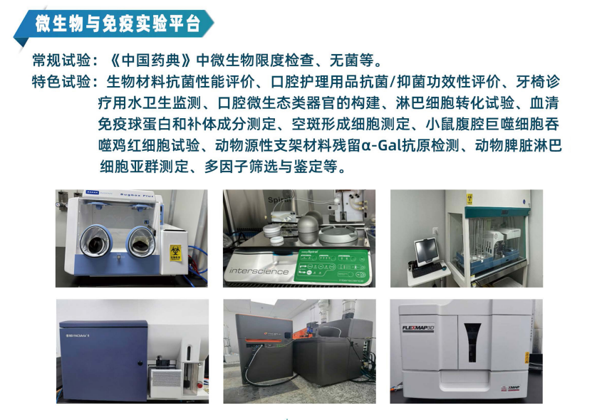 图片6.png