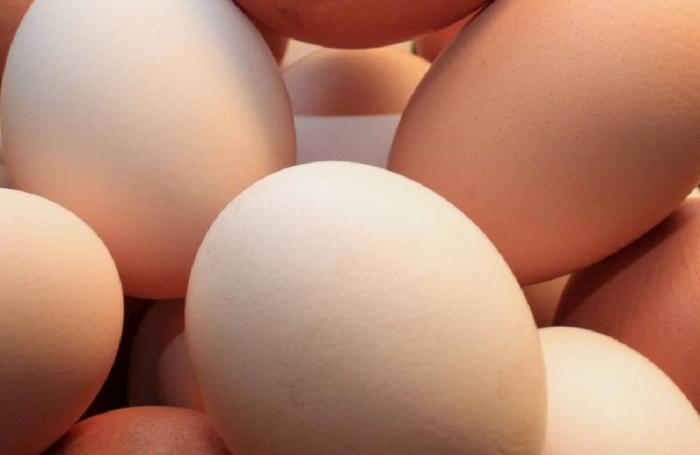 新西兰鸡蛋产量预计将下降